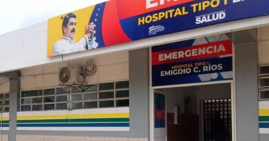 Mujer es atacada por serpiente cuando limpiaba un huerto en Maparari
