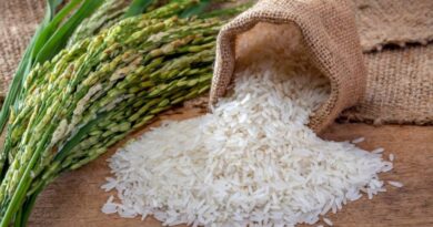 Plantean elevar hasta US$0,64 el precio por kilogramo de arroz a nivel de productores
