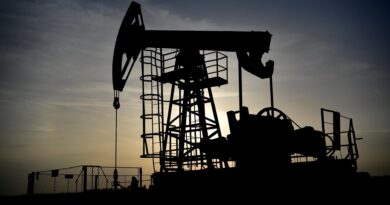 La Casa Blanca espera que Venezuela firme más acuerdos petroleros esta semana en el G20
