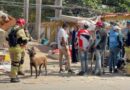 La ONU coordina a 2.000 rescatistas de 27 países para buscar supervivientes en Venezuela