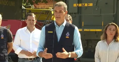 Pedro Sánchez anunció el fin de la emergencia nacional por incendios forestales en Ávila y Madrid