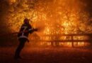 Casi 200 arrestos en Francia relacionados con los incendios desde el inicio del verano
