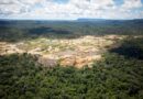SOS Orinoco denunció que la minería ilegal sigue devastando el Parque Nacional Canaima