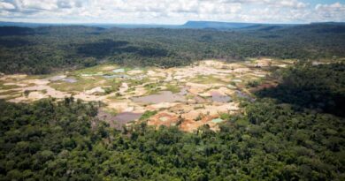 SOS Orinoco denunció que la minería ilegal sigue devastando el Parque Nacional Canaima