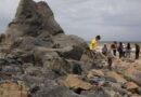 Terremotos de Venezuela alteran costa de Trinidad y mueren cientos de animales marinos