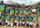 Caimanes de Yaracal subcampeones del Estadal Indantil