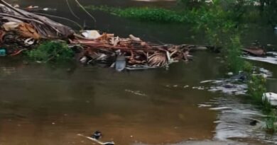Iturriza | Falla el aseo urbano en Sanare Abajo