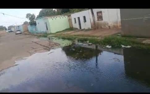Cinco familias afectadas por desborde de las aguas servidas en el barrio Curazaito