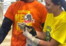 Jornada de Misión Nevado atendió a mascotas y animales de trabajo en Acosta