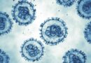Julio Castro descarta riesgo epidemiológico importante por hantavirus