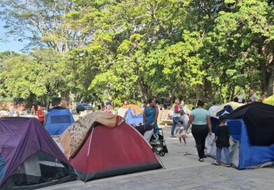 ONG instó a garantizar que los refugios de damnificados cumplan estándares de DDHH
