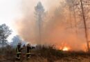 Francia confirma nueva ola de calor a partir del martes que podría complicar los incendios