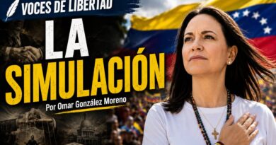La simulación