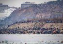 Trump califica de «invasión» la crisis en Ceuta y dice que España «no sabe qué hacer»