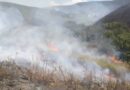 Portugal combate cuatro incendios en el norte del país mientras aumentan las temperaturas