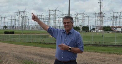«Solo el 21% de las termoeléctricas están funcionando», advierte ingeniero Vernet