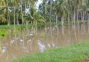 Despliegan operativo de seguridad en Palmasola por desborde del Río Aroa