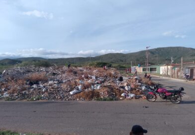 Invaden terrenos ociosos en urbanización Aristides Calvani de Coro