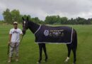 Luis Zavala, un falconiano que brilla en el polo internacional