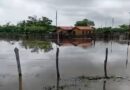Reportan descenso de inundación en zona rural de Boca de Aroa