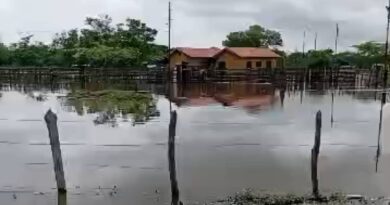 Reportan descenso de inundación en zona rural de Boca de Aroa
