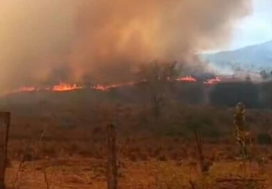 Incendio en Urumaco fue provocado por personas inconscientes y el verano