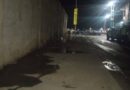Denuncian contaminación sonora y malos olores en el malecón de Chichiriviche