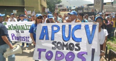 «No hay tiempo que perder»: profesores exigen acuerdos para recuperar la democracia