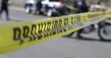 Al menos 10 muertos y varios heridos al volcar un autobús en la sierra de Río de Janeiro