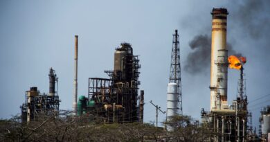 Paula Henao: reactivación de 17 campos petroleros contempla más de $100.000 millones de inversión