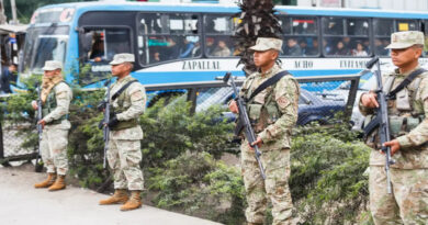 Perú declara estado de emergencia en Lima y Callao para enfrentar criminalidad