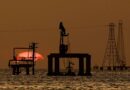 El PSUV expresó su «pleno respaldo» al acuerdo petrolero suscrito por el chavismo con EE.UU.