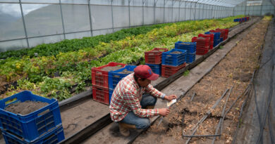 EEUU abre por sorpresa el crédito y la ayuda agrícola para impulsar exportaciones de Venezuela