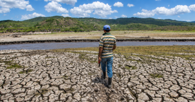 El Niño obliga a Venezuela a coordinar una respuesta que vaya más allá de la emergencia