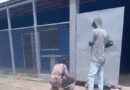 No hay atención en el ambulatorio del Mene de San Lorenzo