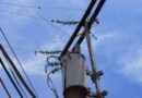 Se cayó guaya eléctrica en la calle 6 de la urbanización Independencia