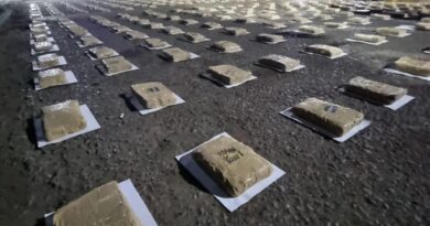 Incautan alijo de presunta droga y armamentos en el municipio Píritu