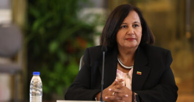 La meta es designar a magistrados del TSJ en noviembre, afirma Dinorah Figuera