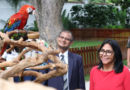 Gremio veterinario exige explicaciones por presuntos traslados de fauna a la India
