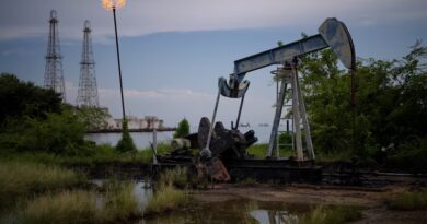 Venezolanos están divididos sobre el acuerdo petrolero con Trump: 50 % cree que beneficia más a EEUU