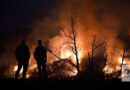 Más de 800 efectivos combaten dos incendios en el centro de Portugal