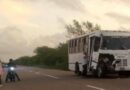 Tibana | Buseta chocó contra un búfalo en la vía de la costa