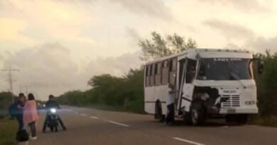 Tibana | Buseta chocó contra un búfalo en la vía de la costa