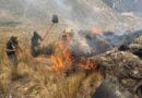 Incendios forestales se mantienen activos en al menos cuatro regiones de Perú
