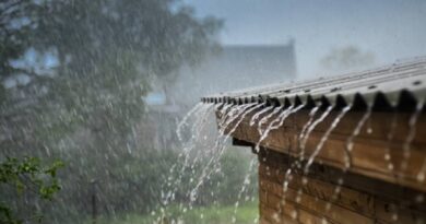 La tormenta tropical Isaias amenaza con lluvias intensas en el sureste de México