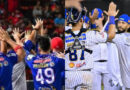 Tiburones y Navegantes abren esta noche el telón inaugural de la temporada 2026-2027 de la LVBP