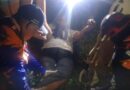 Motorizada rodó al arrollar a un becerro en la Morón-Coro de Sanare