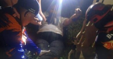 Motorizada rodó al arrollar a un becerro en la Morón-Coro de Sanare