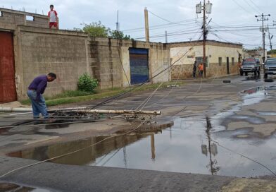 Lluvia ocasionó la caída de tendido eléctrico en Punto Fijo