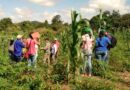 Emiten alerta por ola de calor y sequía que amenazan las siembras en Venezuela